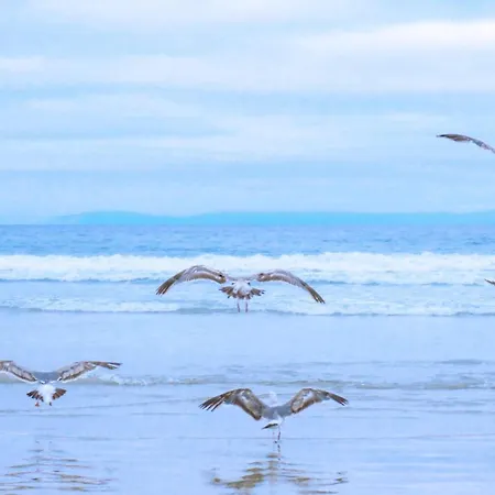 Villa Beau - Aan Zee