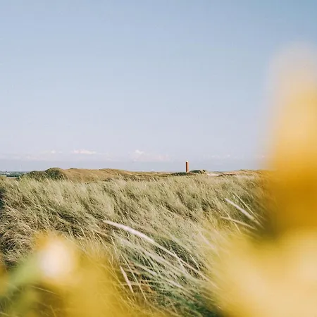 Beau - Aan Zee Julianadorp
